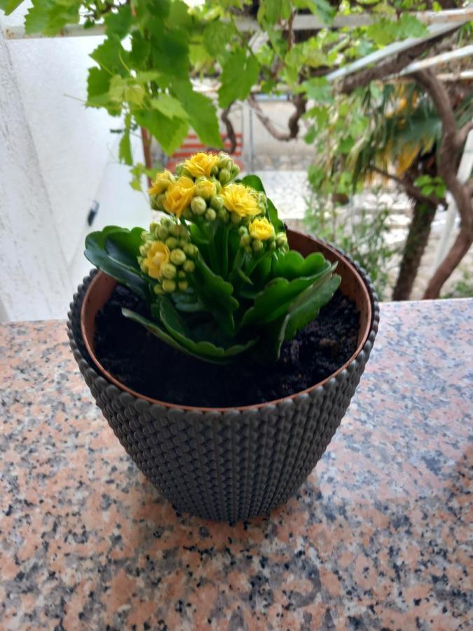 Apartment Ivana Senj  Luaran gambar