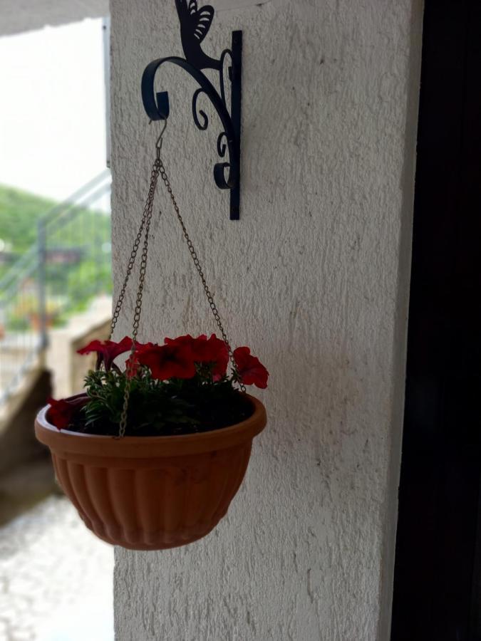 Apartment Ivana Senj  Luaran gambar